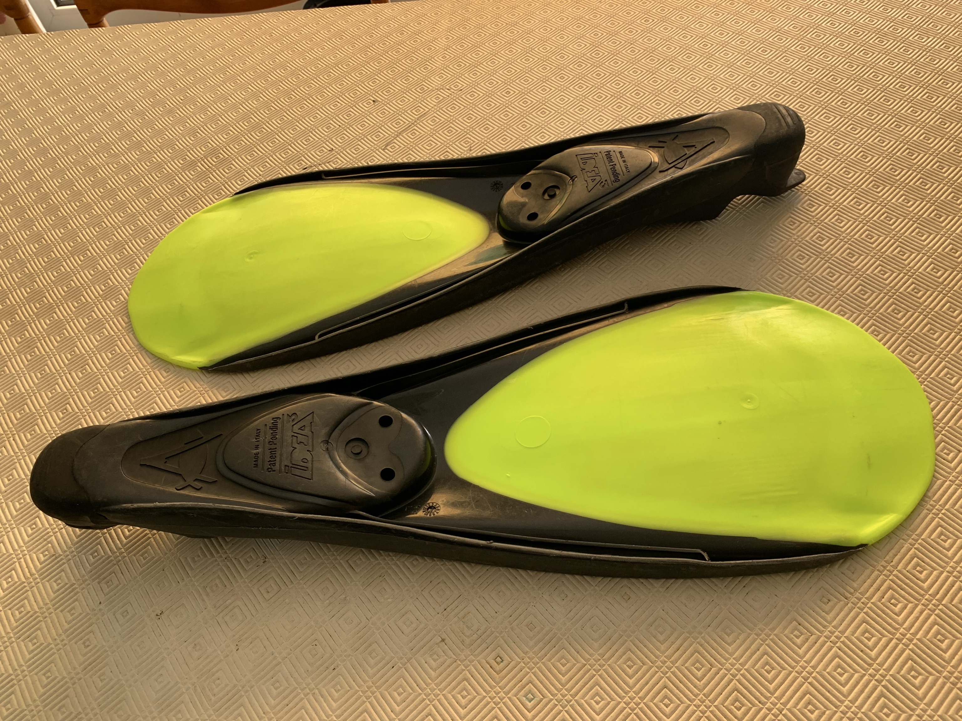 Palmes vue de dessous